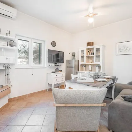 Pigmy Cormoran * Pirovac