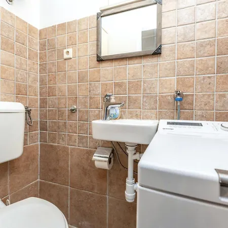 Pigmy Cormoran Banjevacki Stanovi