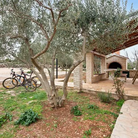 Pigmy Cormoran Banjevacki Stanovi