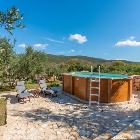 Pigmy Cormoran Banjevacki Stanovi