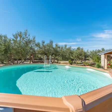 Pigmy Cormoran Banjevacki Stanovi