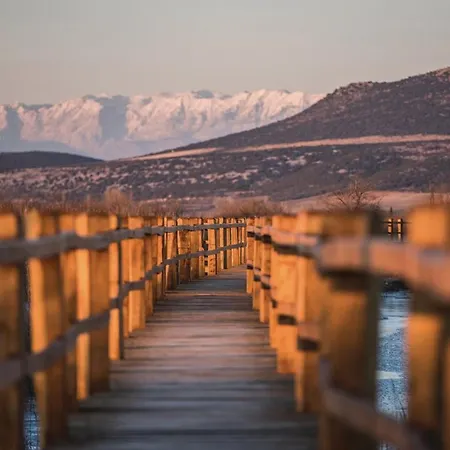 Pigmy Cormoran Banjevacki Stanovi