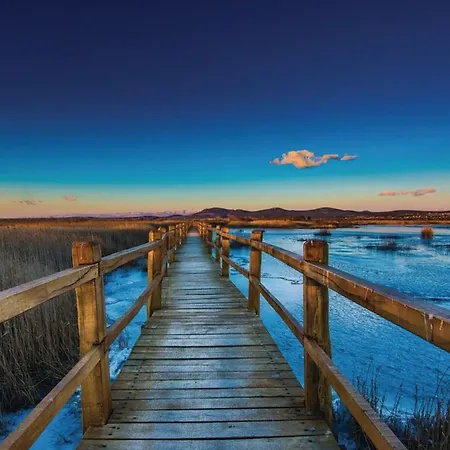 Pigmy Cormoran * Banjevacki Stanovi