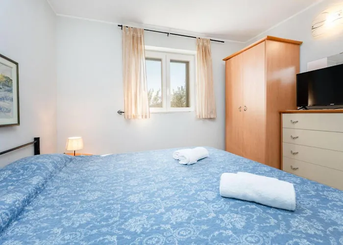 Pigmy Cormoran Lejlighed Pirovac