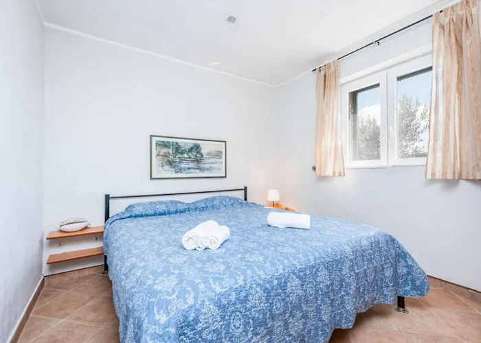 Pigmy Cormoran Lejlighed *