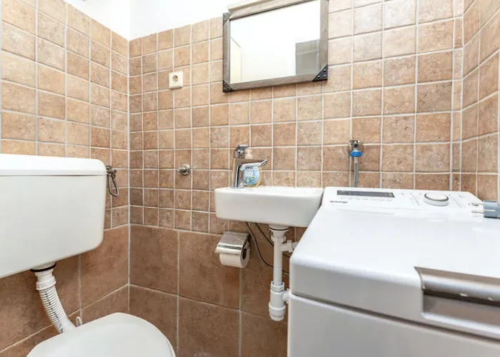 Pigmy Cormoran Banjevacki Stanovi