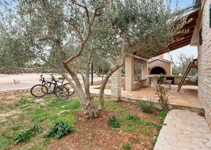 Pigmy Cormoran Banjevacki Stanovi