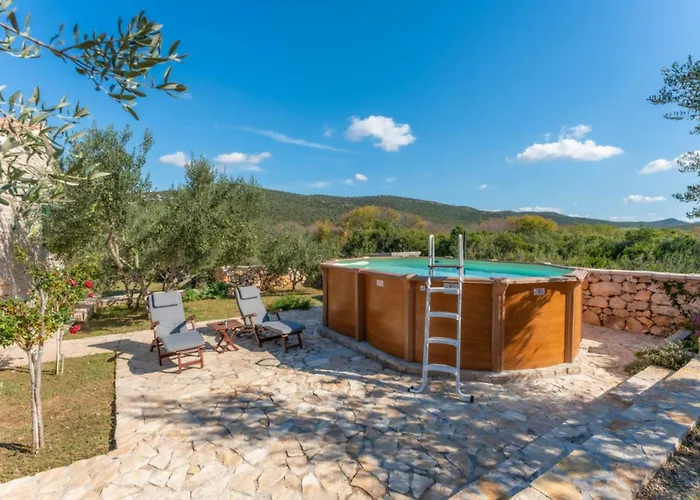 Pigmy Cormoran Pirovac