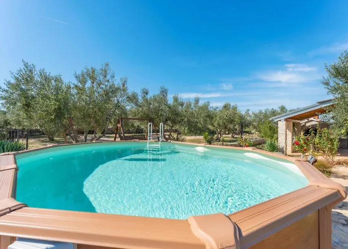 Pigmy Cormoran Pirovac