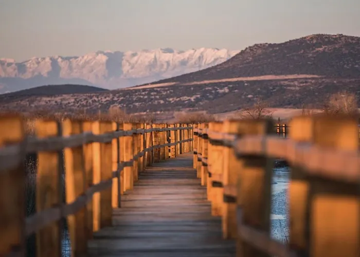 Pigmy Cormoran Banjevacki Stanovi