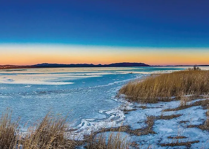 Pigmy Cormoran Lejlighed *