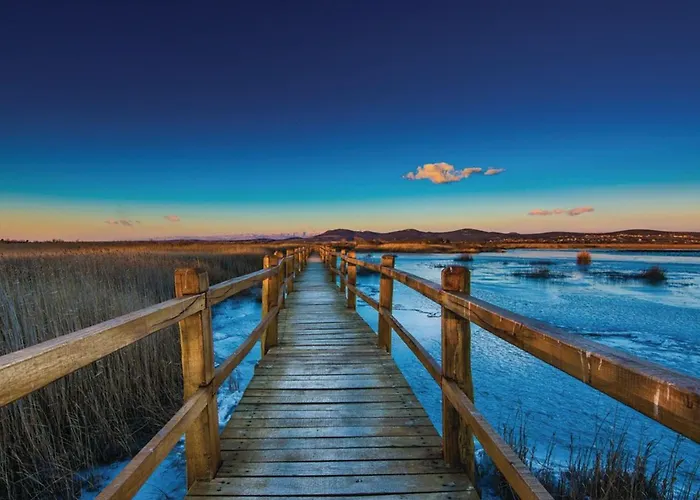 Pigmy Cormoran * Pirovac