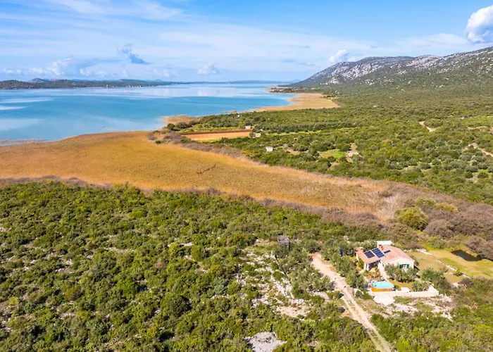 Pigmy Cormoran Lejlighed